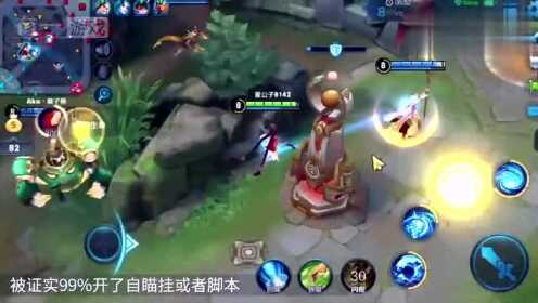 王者荣耀无痕辅助  第3张